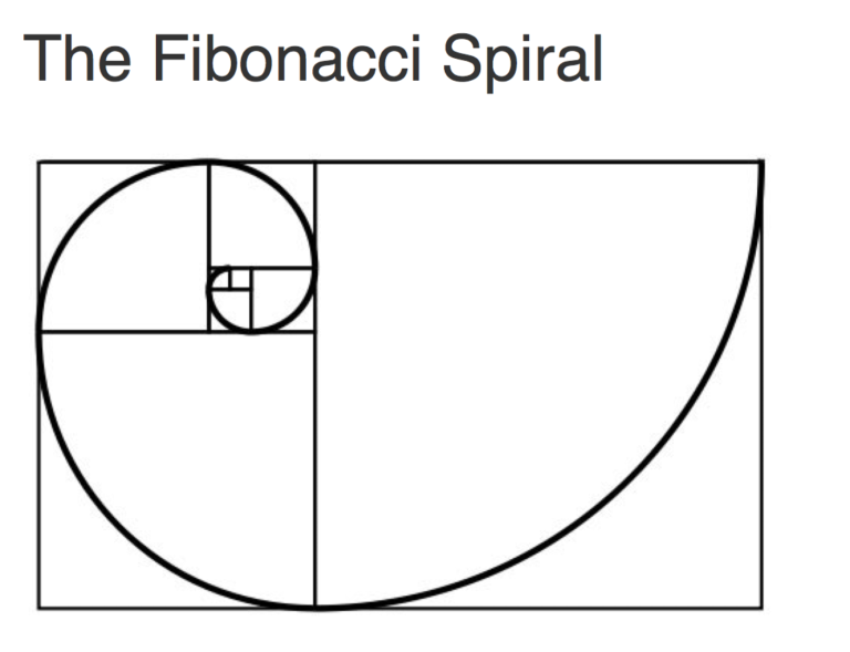 fibonacci spiral composition