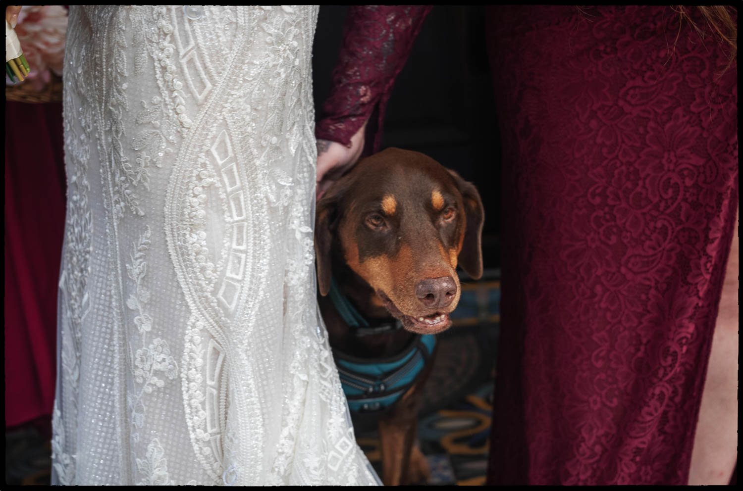 15 Warner + Andrew Stunning Wedding at The Veranda in San Antonio, Texas Philip Thomas wedding photographer L1008900 Edit