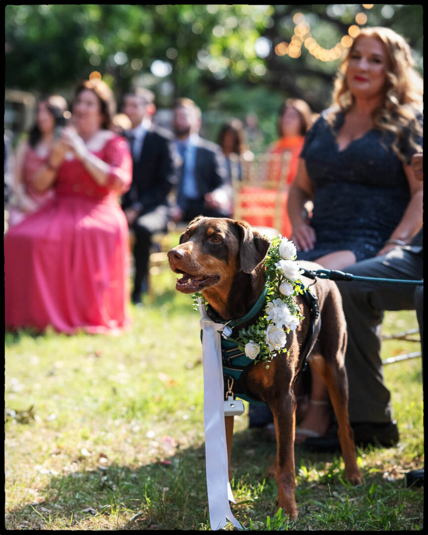 25 Warner + Andrew Stunning Wedding at The Veranda in San Antonio, Texas Philip Thomas wedding photographer DSC 0309 Edit 2