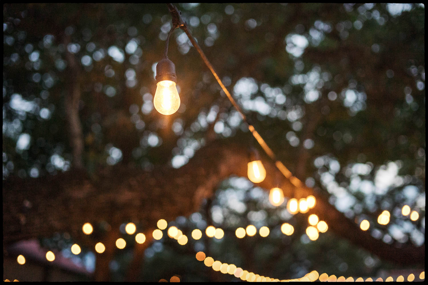 49 Warner + Andrew Stunning Wedding at The Veranda in San Antonio, Texas Philip Thomas wedding photographer L1009186 Edit