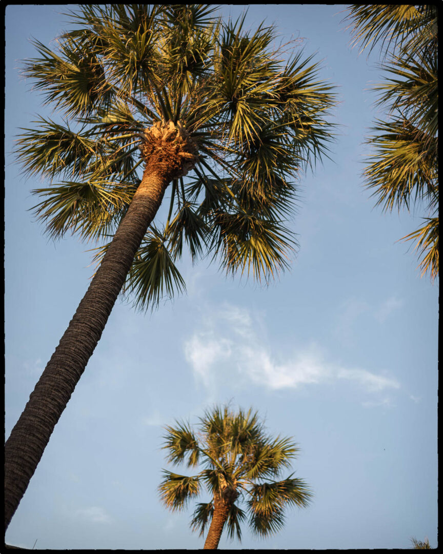 32 McNay Art Museum Wedding Ceremony Philip Thomas wedding photographer L1008600 Edit 2