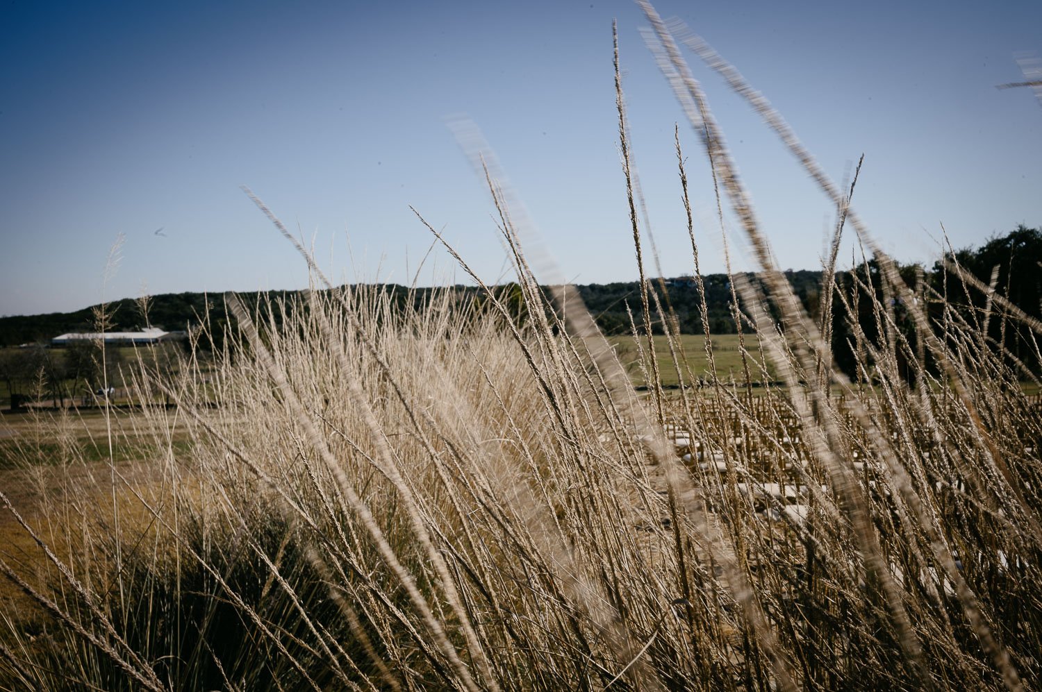 10 Windermere Farms Wedding Ceremony + Reception Philip Thomas Photography L1009681